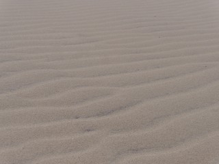Fototapeta na wymiar wydma.piach.pustynia