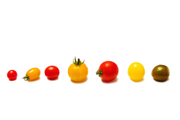 tomatoes