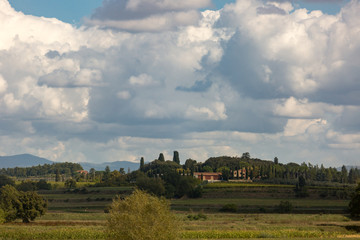 Typical landscape Toscane in Italy