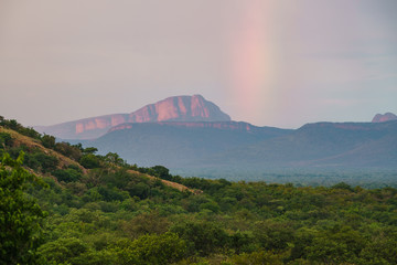 Marakele Nationalpark, Waterberg, Nylstroom,Limpopo, Südafrika, Afrika - obrazy, fototapety, plakaty