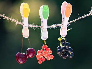 Ripe red currant, blackcurrant and two berries of sweet cherry hang on a rope attached by a clothespin. The background is indistinct. Horizontal shot