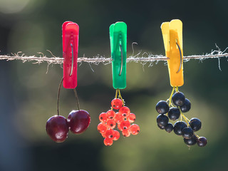 Ripe red currant, blackcurrant and two berries of sweet cherry hang on a rope attached by a...