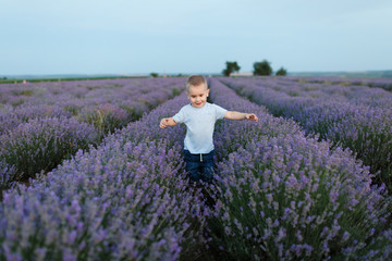 Playful little cute child baby boy walk on purple lavender flower meadow field background, run, have fun, play, enjoy. Excited small kid son. Family day, kids, children, childhood, lifestyle concept.