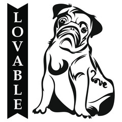 Vector drawing of a pug with copy space