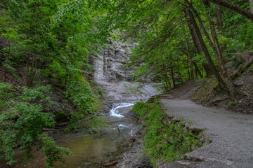 Fototapeta na wymiar Stream with Rock Cliff - Pathway and Surrounded by Forest Trees