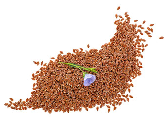 Flax seeds with flower on white background, close-up.