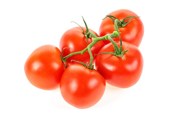 Tomatoes isolated on a white background. Branch of tomatoes.
