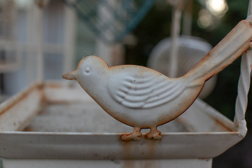 Bird Feeder