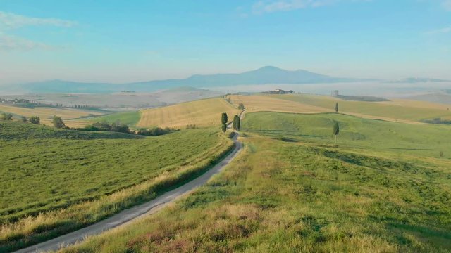 Road with cypress trees in the Val d orcia (Orcia Valley) near Pienza in Tuscany, Italy - cypress trees along the famous white road, or strada bianca - Aerial view