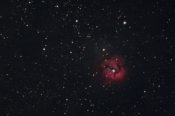 The Trifid Nebula in the constellation Sagittarius as seen from Mannheim in Germany.