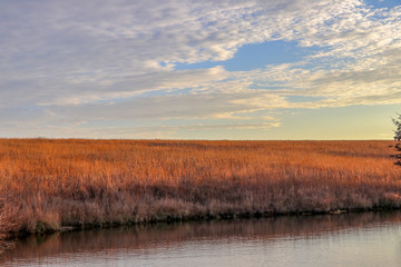 field with clouds