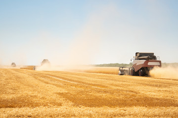 Naklejka premium Harvesting of wheat. Combine harvesters at work