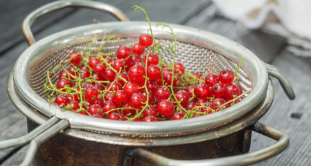 Red currant in a colander