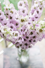 Lilac Delphiniums in glass vase on gray table. Summer wallpaper. Selective focus. Flower shop concept.