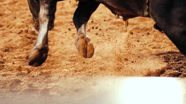 Bull Riding In Slow Motion With Dirt Flying