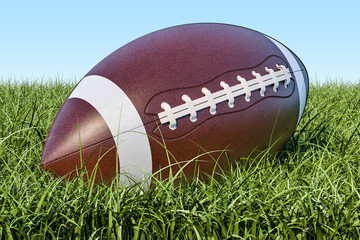 American football ball in the grass, 3D rendering