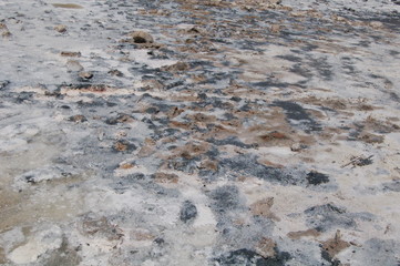 magic salty lake