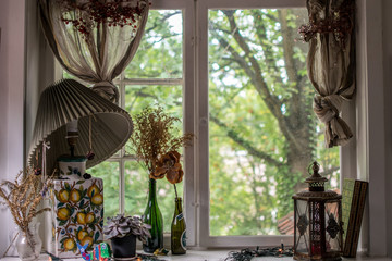 look out of a window from a cozy room