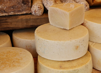 Homemade cheese on street market