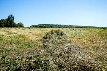 Skew hay, lies on the field against the background of the sky and Cretaceous mountains.