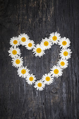 Daisy heart on dark wood