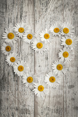 Daisy heart