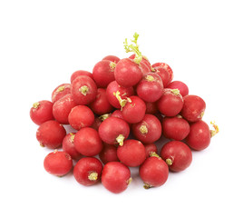 Pile of multiple radishes isolated
