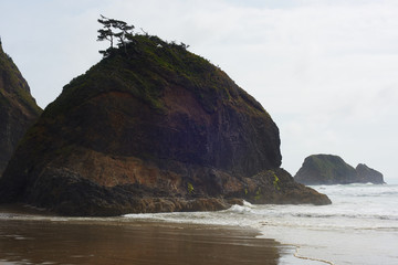 Fototapeta na wymiar Storm-weathered sea stack, Short Beach, Tillamook County, Oregon
