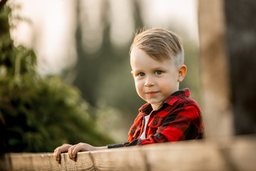 Portrait of a little boy in the evening  park 
