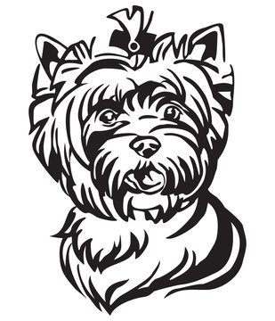 Decorative portrait of Dog Yorkshire Terrier vector illustration