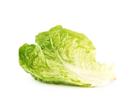 Little gem salat isolated