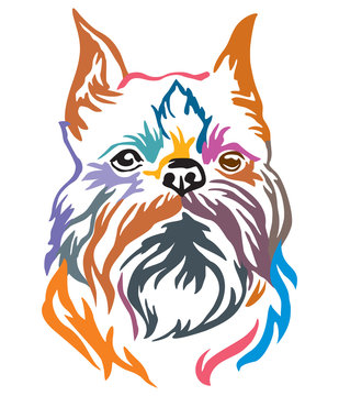 Colorful decorative portrait of Dog Brussels Griffon vector illustration