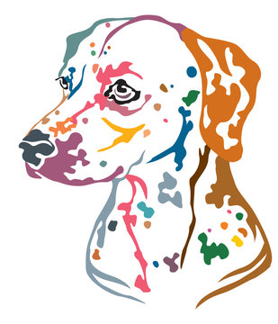 Colorful decorative portrait of Dog Dalmatian vector illustration