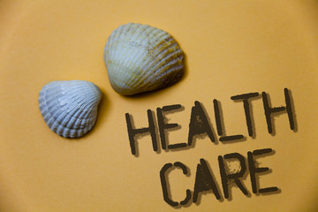 Handwriting text writing Health Care. Concept meaning Medical Maintenance Improvement of Physical Mental conditions Grunge ideas messages shells light brown background beach memories thoughts.