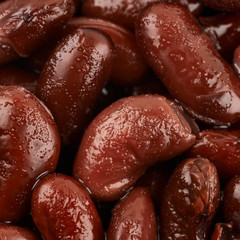 Surface coated with the kidney beans