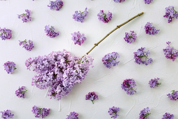 Obraz na płótnie Canvas Flat lay composition with beautiful blossoming lilac on light background. Spring flowers