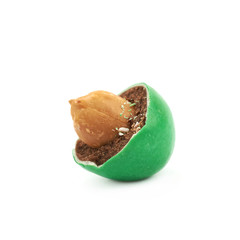 Glazed chocolate nut candy isolated