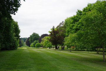 Path in the garden
