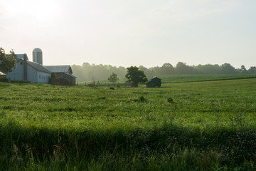 Amish Farmland on a Summer Morning