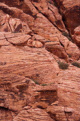 Red rock background