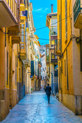 View of a narrow street in the historical center of Palma de Mallorca, Spain © dudlajzov
