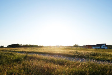 Obraz premium Picturesque view of countryside with houses in field