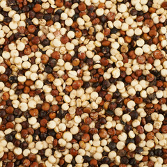 Surface coated with the quinoa seeds