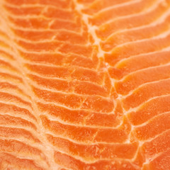 Close-up fragment of salmon fish