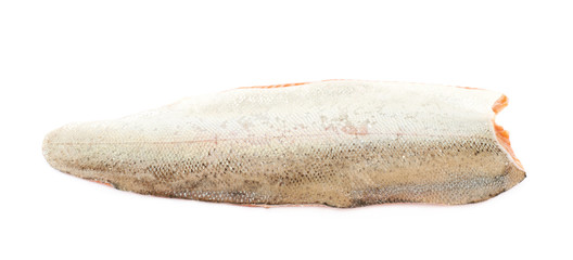 Raw salmon fillet fish isolated