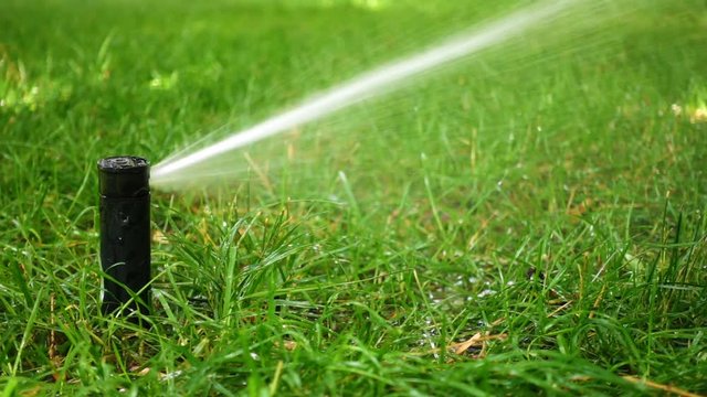 Grass sprinkler on meadow