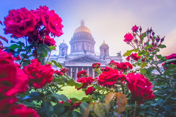 Saint Petersburg. Fog. Isaakievskaya square in the fog. St. Isaac's Cathedral in the fog. Russia. St. Petersburg early in the morning. St. Isaac's Cathedral in flowers. Poster of Petersburg.