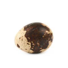 Quail egg composition isolated