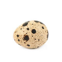 Quail egg composition isolated