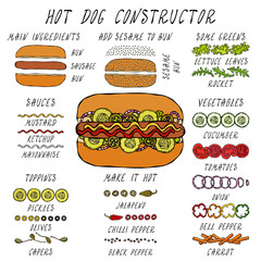 Hot Dog Constructor. Set of Fast Food Menu Ingredients. Hand Drawn High Quality Clean Realistic Vector Illustration. Doodle Style.